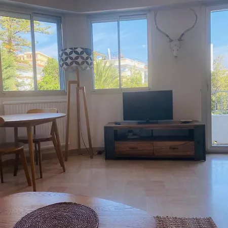 Large Studio With Parking דירה ניס